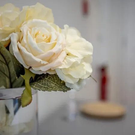 Casa Do Largo Electrico - Cozy And Lovely In The Center *